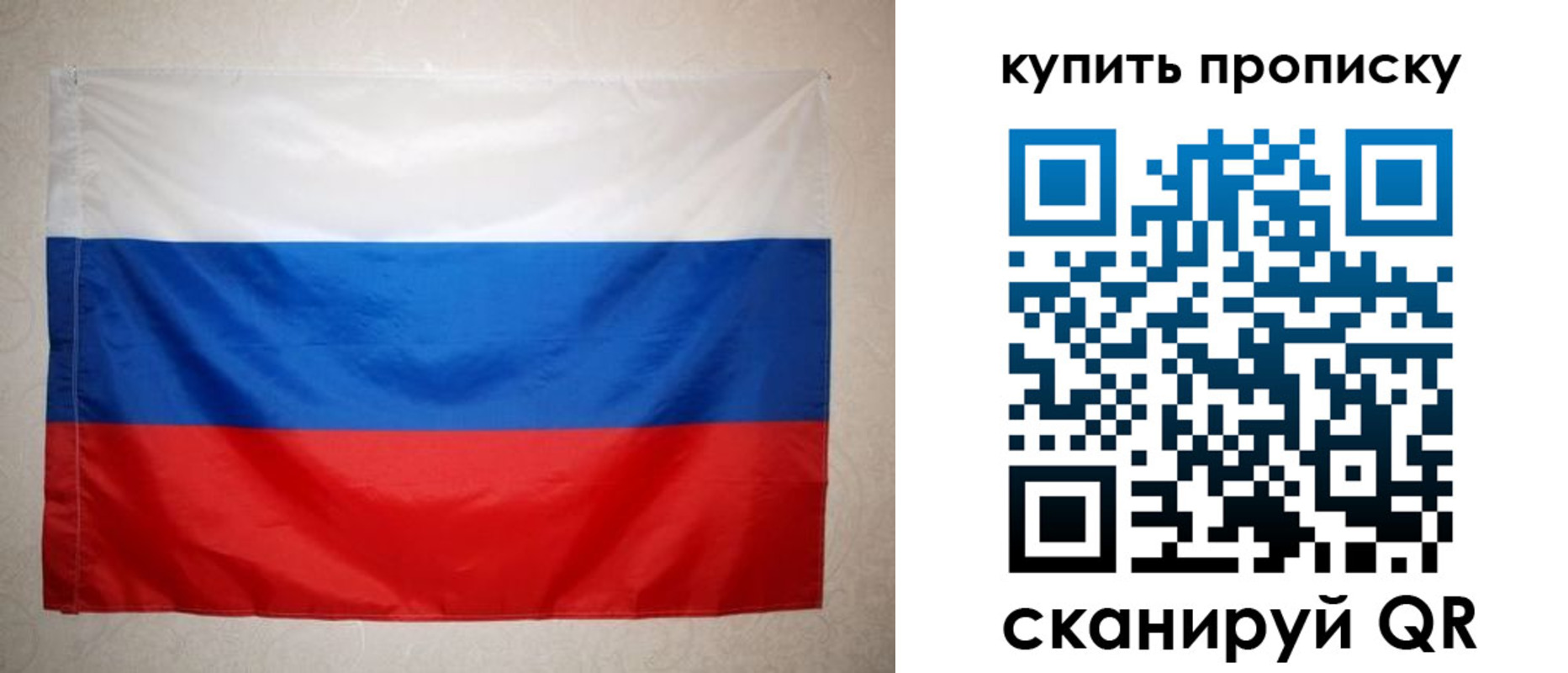 пропишу в квартире в Владимире